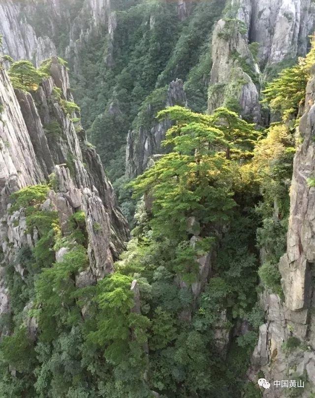 三国快打电脑版5
